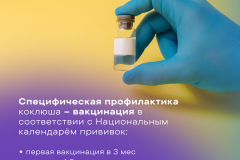 2-koklush-card - 3